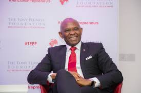 Apply for the 2025 Tony Elumelu Foundation Grant